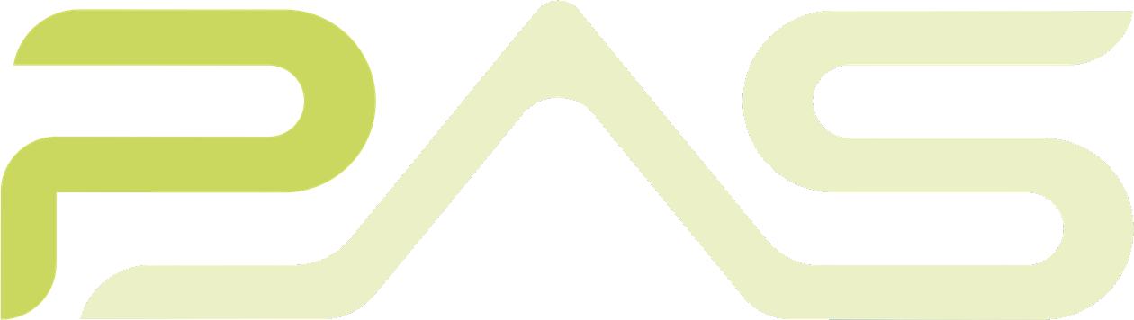 Palo Alto Secure Logo